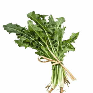 Cikorija, svježa biljka (zelen) 500g