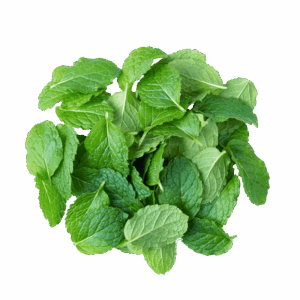 Menta - svježa biljka 500g